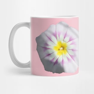 White Dwarf Morning Glory Convolvolus Tricolor Vector Mug